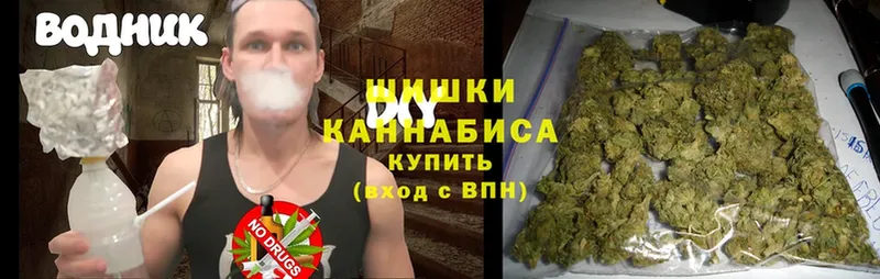 цена наркотик  MEGA вход  Конопля SATIVA & INDICA  Чишмы 